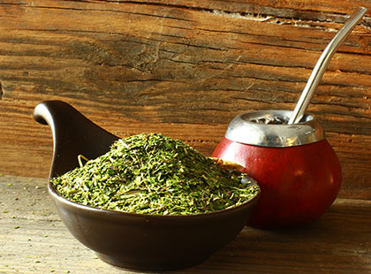 yerba-mate