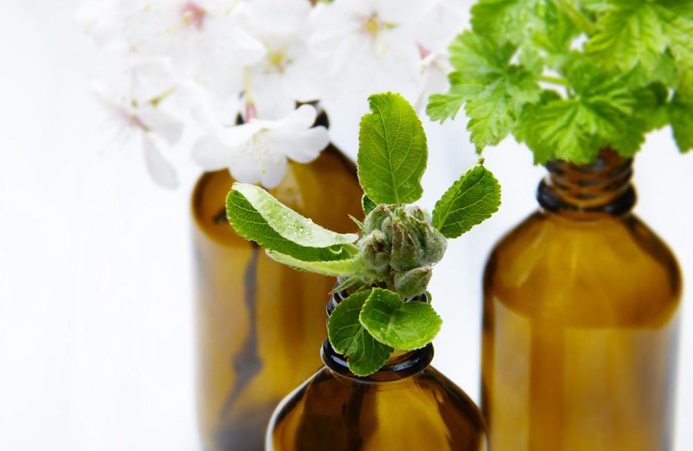 kosmatyki z apteki kosmatyki z apteki