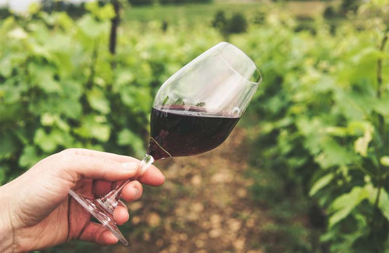 Czy wino działa na cholesterol?